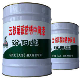 云铁醇酸防锈漆 钢铁防锈膜的不朽守望者